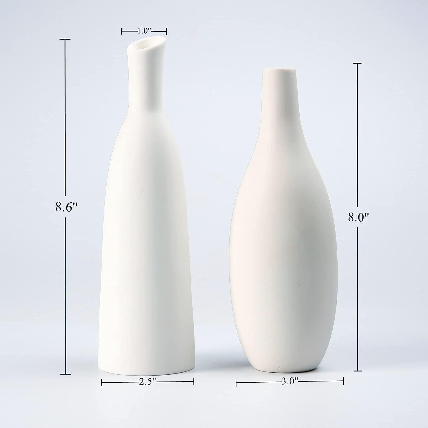 Ceramic Vase Set of 2