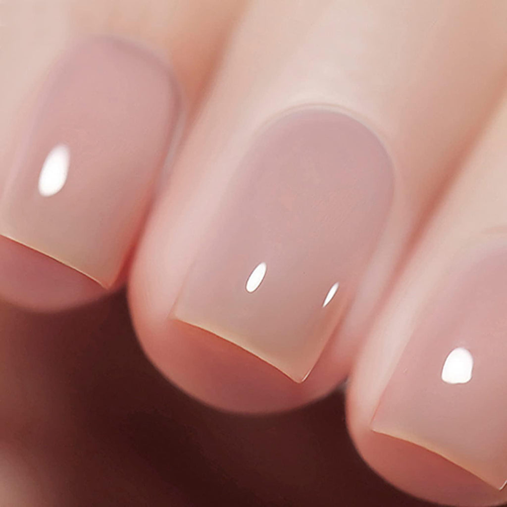 Vishine Nude Gel Polish Kit