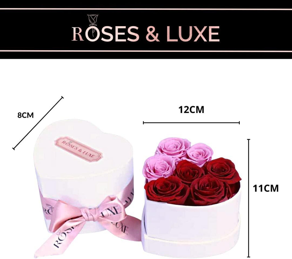 Preserved Flowers Roses in a Box