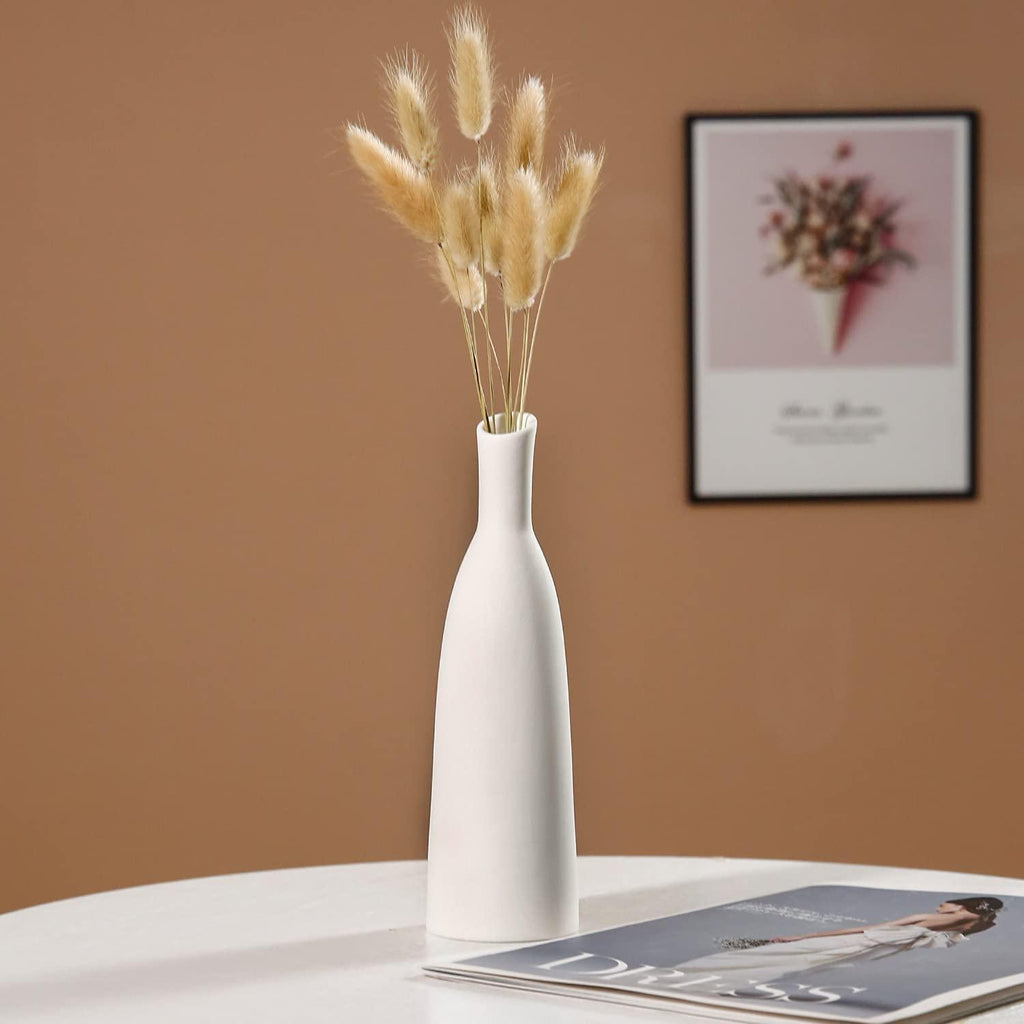 Ceramic Vase Set of 2