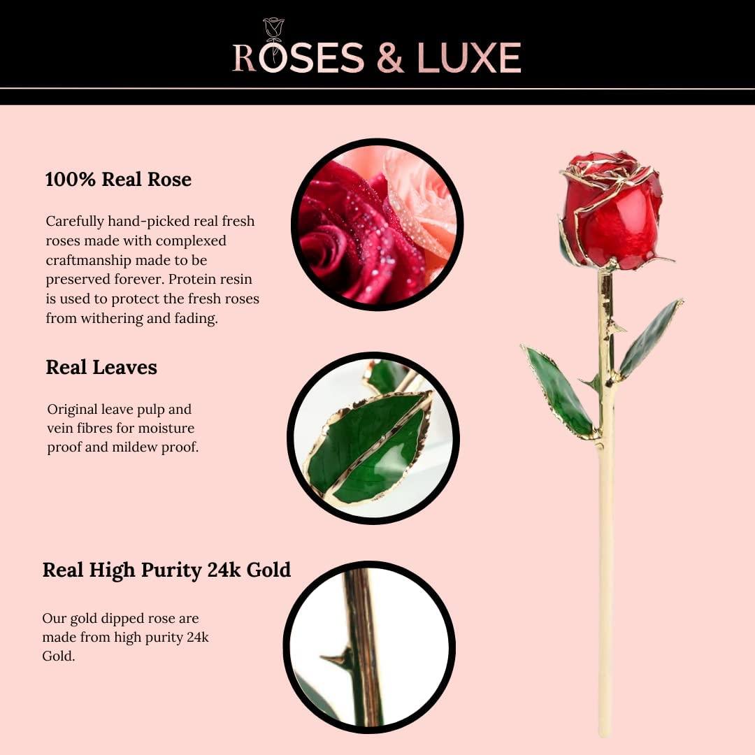 Swiss 24K Gold Plated Rose That Lasts Forever