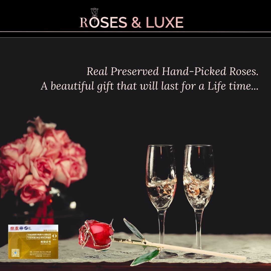 Swiss 24K Gold Plated Rose That Lasts Forever