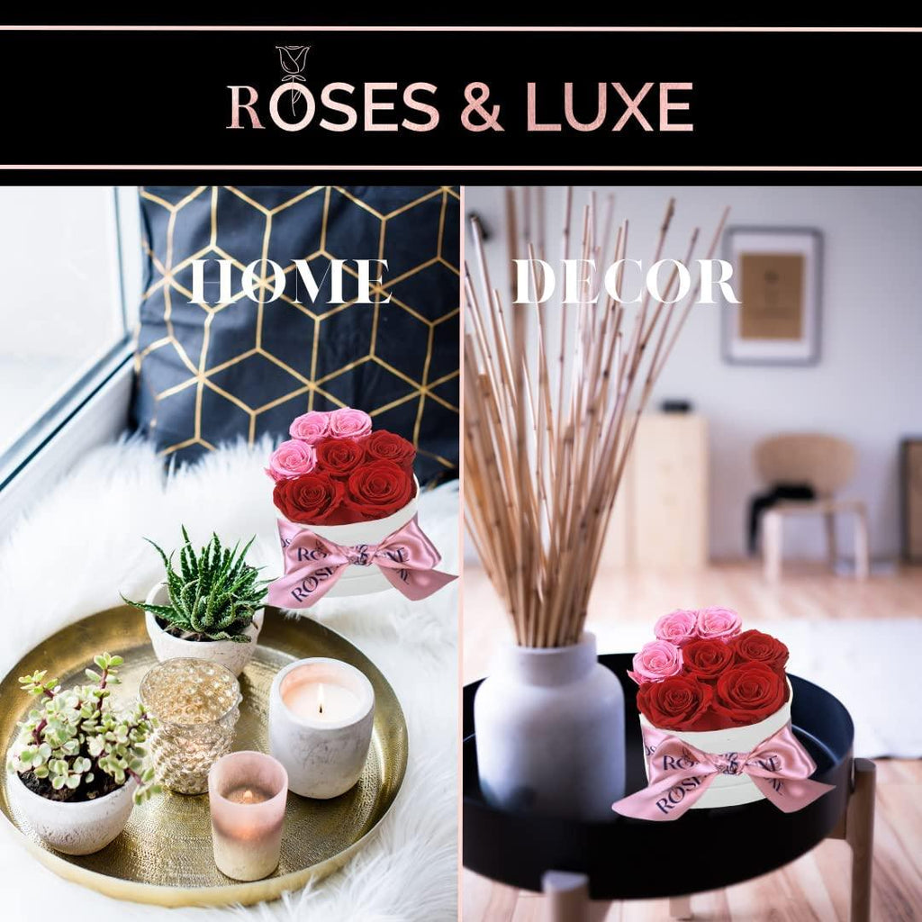 Preserved Flowers Roses in a Box