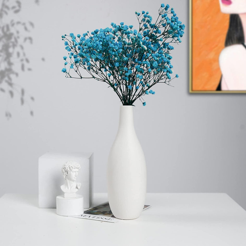 Ceramic Vase Set of 2