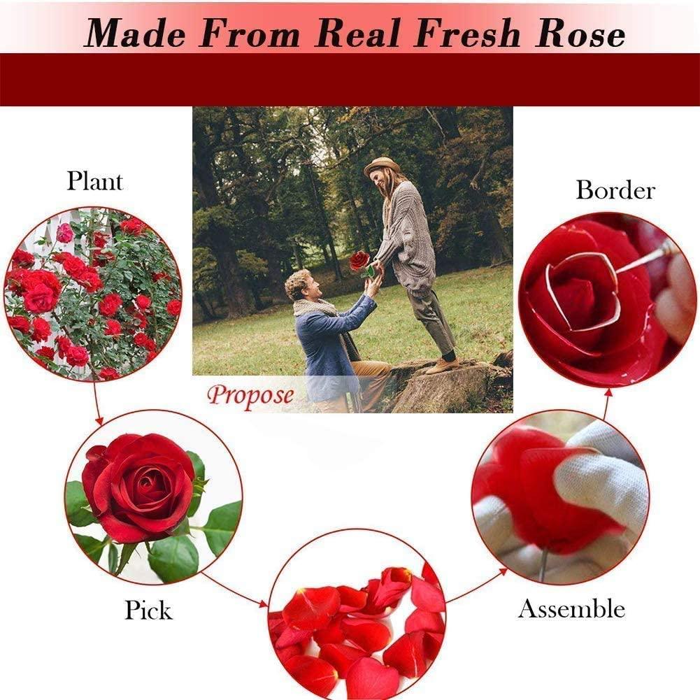 LOVLO Gold Dipped Rose 24k Red Gold Plated Rose