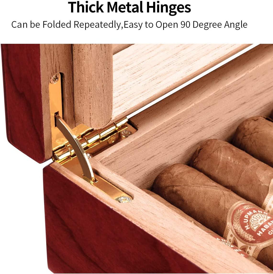 CIGARLOONG Cigar Humidor Spanish Cedar Desktop Box with Humidifier and