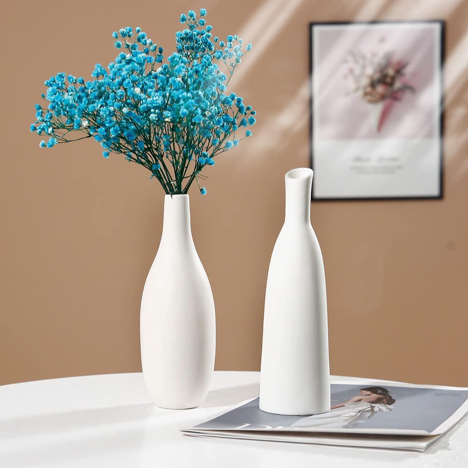 Ceramic Vase Set of 2