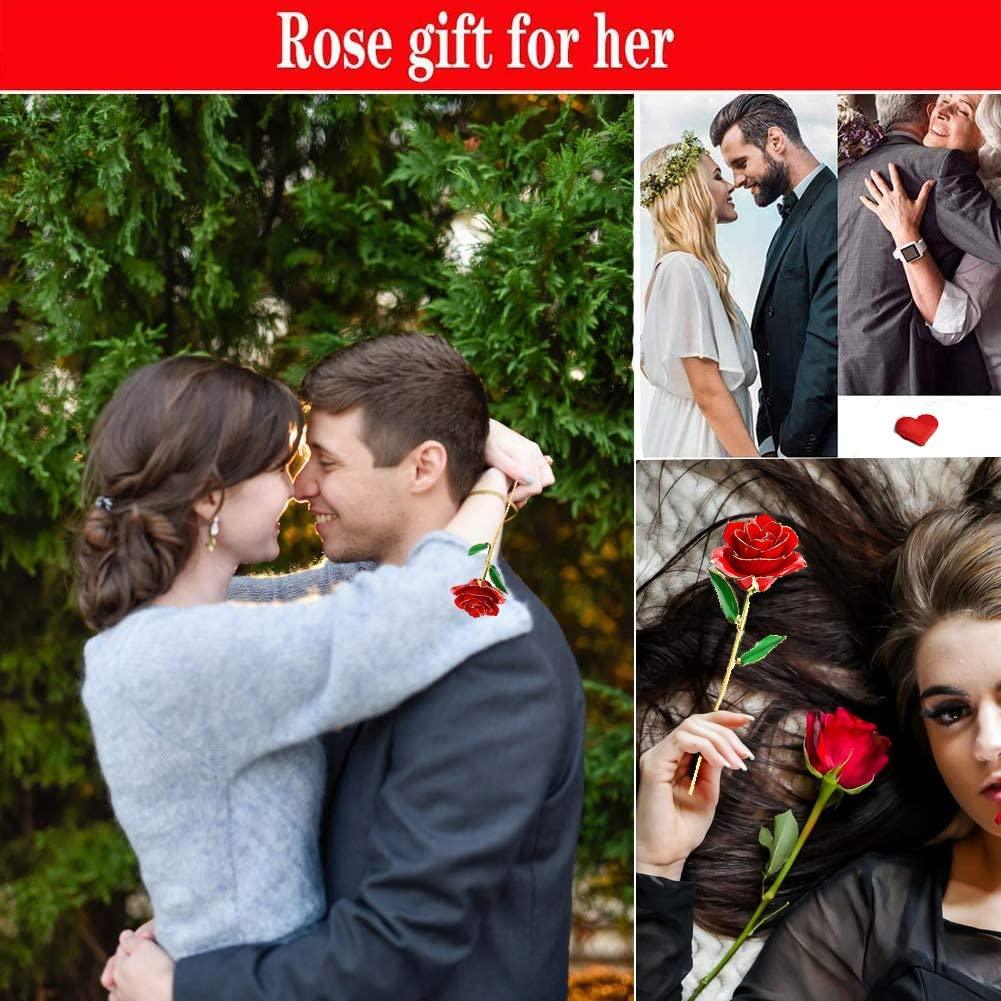 LOVLO Gold Dipped Rose 24k Red Gold Plated Rose