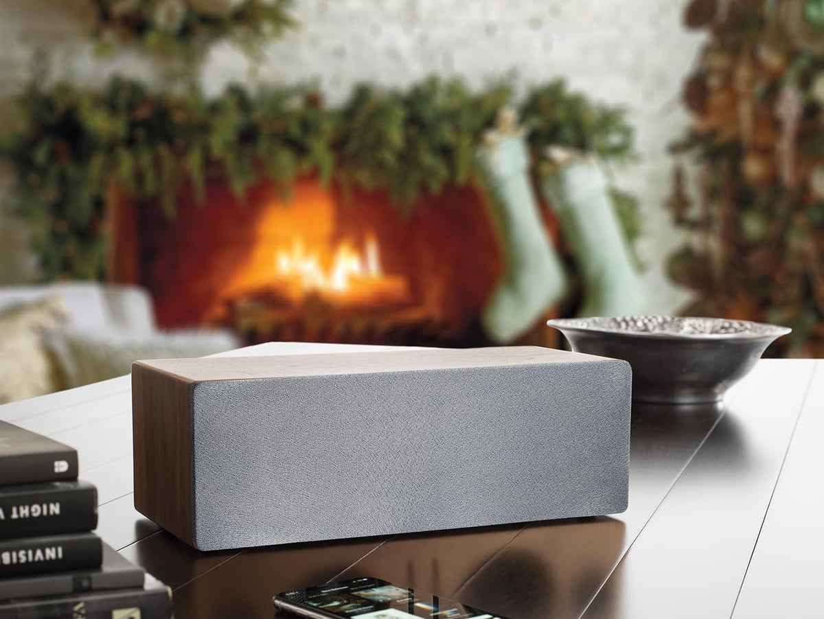 Audioengine B2 Bluetooth Speaker