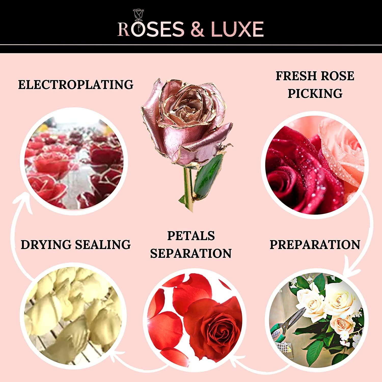 Swiss 24K Gold Plated Rose That Lasts Forever