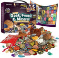 Dan &amp; Darci Mega Rock &amp; Mineral Collection Activity Kit