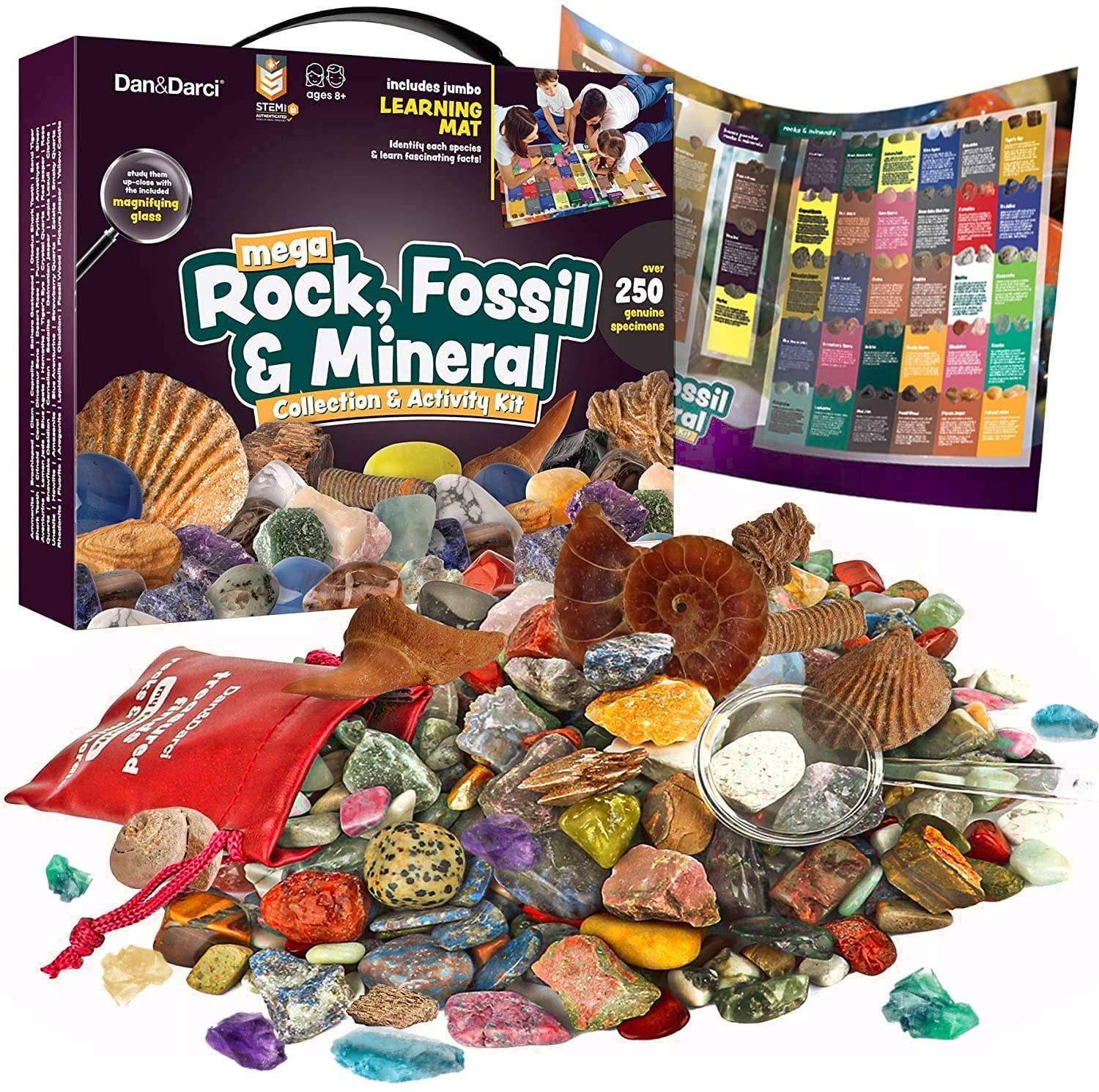 Dan &amp; Darci Mega Rock &amp; Mineral Collection Activity Kit