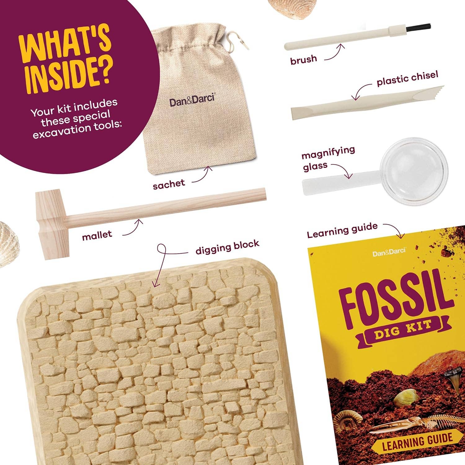 Dan&Darci Fossil Dig Kit For Kids