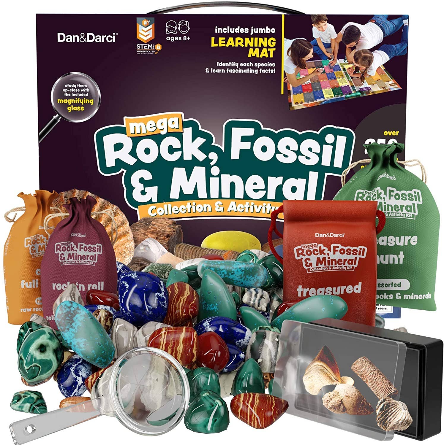Dan &amp; Darci Mega Rock &amp; Mineral Collection Activity Kit