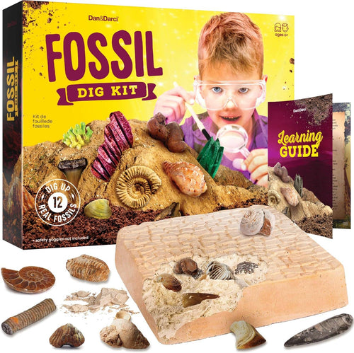 Dan&Darci Fossil Dig Kit For Kids
